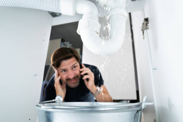 Best Shower Repair Services  in Diamond, IL